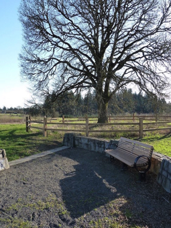 Elder Oak Plaza &ndash; compacted gravel surrounding bench may have areas of loose gravel