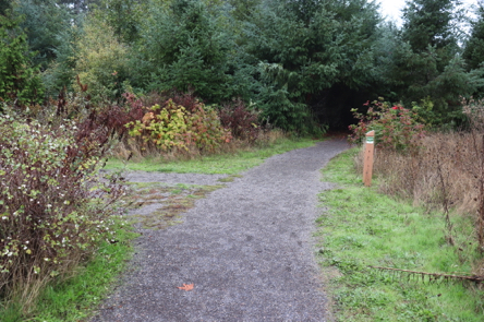 Junction of Coyote Way Trail and Legacy Creek Trail on the left &ndash; gravel and natural surface