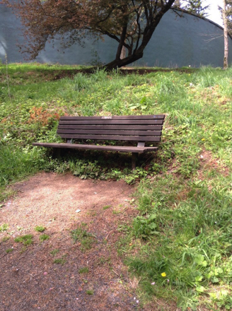 Bench, surrounded by foliage, at the top of the steep grade of the Wildwood Trail Bench, surrounded by foliage, at the top of the steep grade of the Wildwood Trail