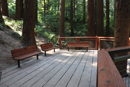 Benches at the Redwood platform Benches at the Redwood platform