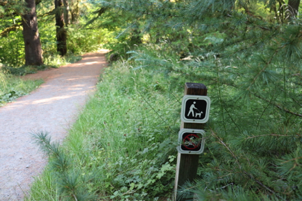 Dogs are allowed on trails – no bikes Dogs are allowed on trails – no bikes