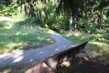 Bench on gravel surface Fir Trail – grades up to 23% – leads to Redwood Trail Bench on gravel surface Fir Trail – grades up to 23% – leads to Redwood Trail