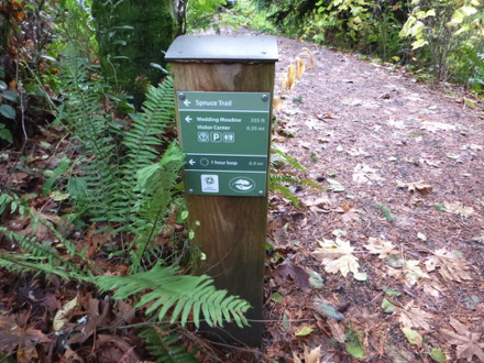 Directional signage at junction of Redwood Trail and Spruce Trail Directional signage at junction of Redwood Trail and Spruce Trail