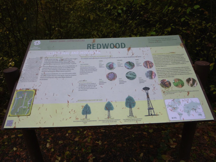 Informational sign about Redwood trees Informational sign about Redwood trees