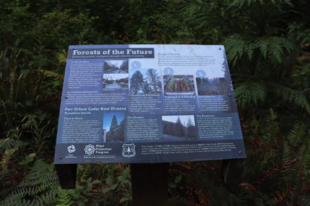 Informational signage – Forest of the Future Informational signage – Forest of the Future