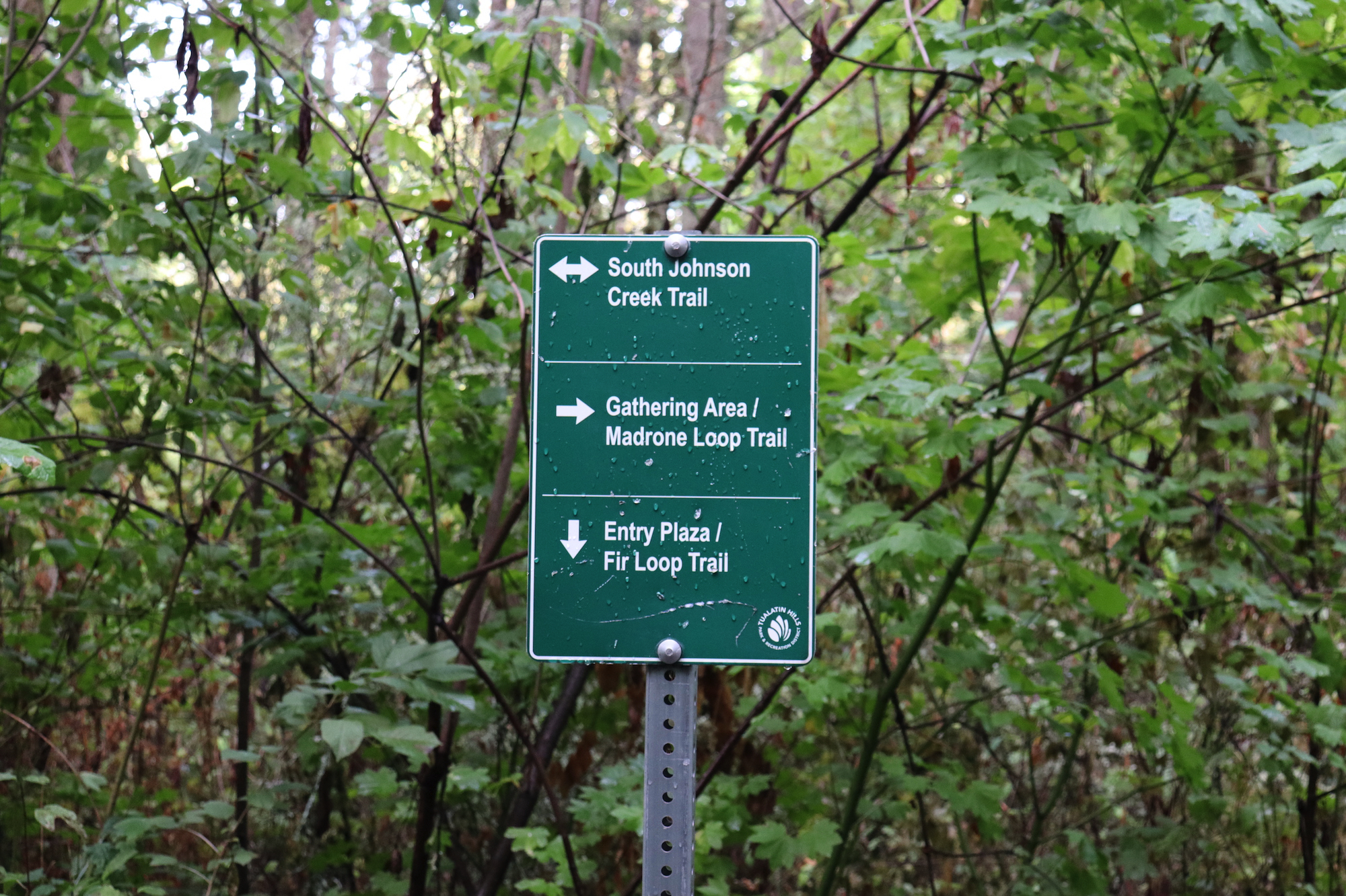 Signage and Wayfinding