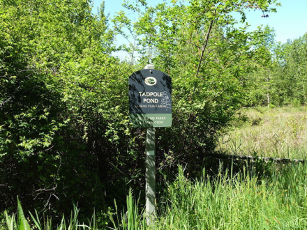 Sign at Tadpole Pond - not part of Bluff Trail Sign at Tadpole Pond - not part of Bluff Trail