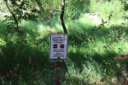 Restoration of sensitive aquatic habitat – stay on trails – no swimming Restoration of sensitive aquatic habitat – stay on trails – no swimming