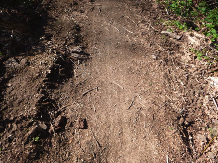 Parts of the Forest Edge Trail can be muddy with ruts Parts of the Forest Edge Trail can be muddy with ruts
