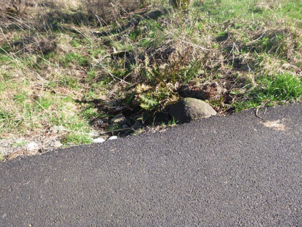 A short drop-off off the paved trail without edge protection A short drop-off off the paved trail without edge protection