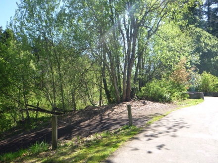 The natural surface Creekside Loop begins with a steep grade The natural surface Creekside Loop begins with a steep grade
