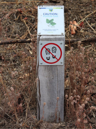 Signage: Caution: Poison oak – do not walk in undeveloped areas Signage: Caution: Poison oak – do not walk in undeveloped areas
