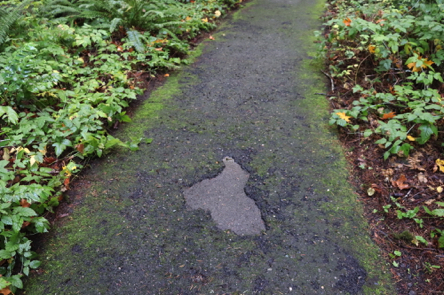 Paved trail may have areas of disrepair, causing a rut Paved trail may have areas of disrepair, causing a rut