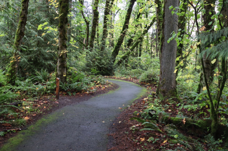 The paved Trillium Trail The paved Trillium Trail